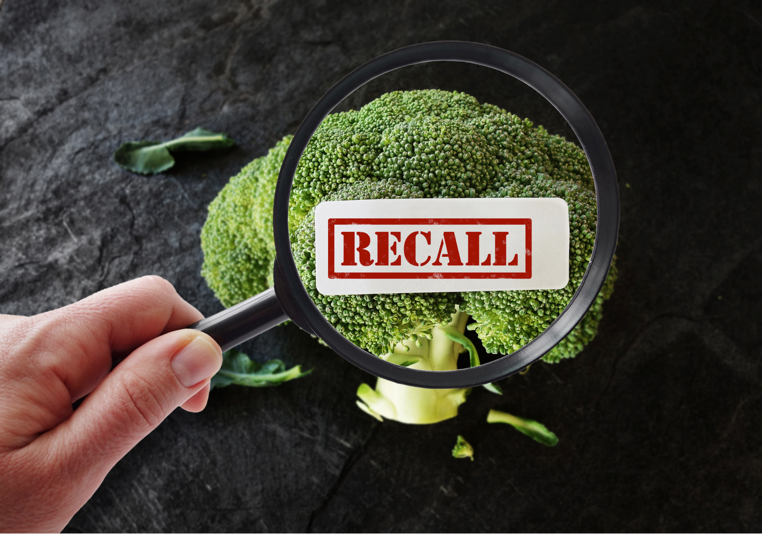 How Smart Traceability Protects Your Brand in the Age of Recalls